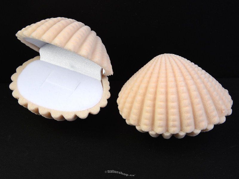 Gift Box shell 6.5 x 5 cm