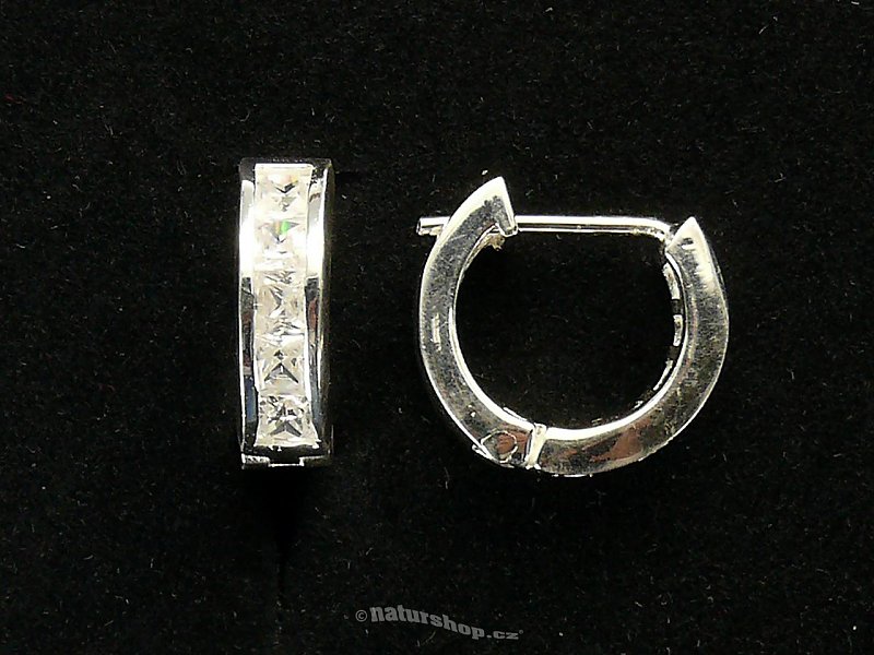 Ag earrings - zircon clear typ058