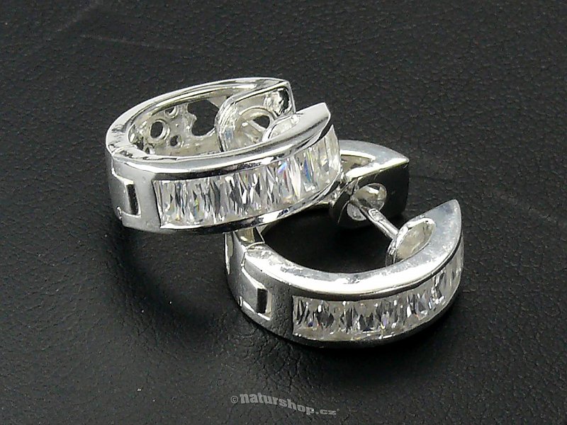 Ag 925/1000 silver earrings typ067