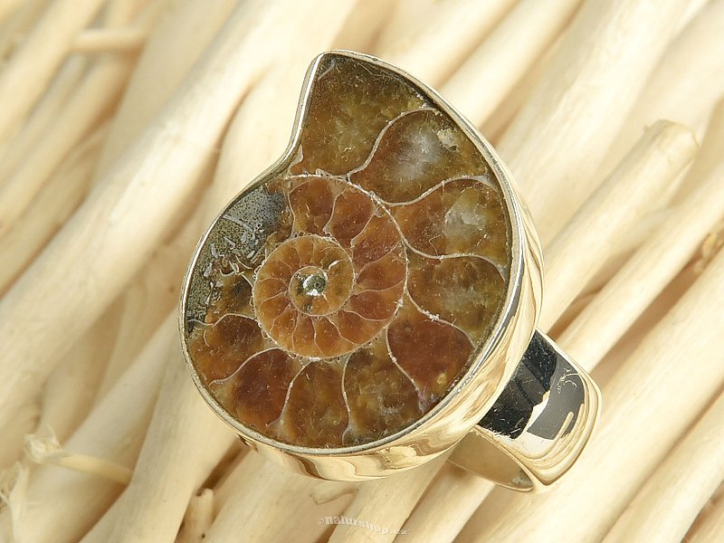 Ammonite ring size 53 Ag 925/1000 8g