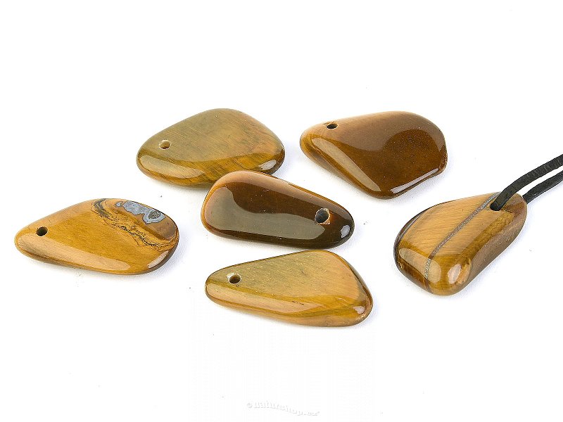 Tiger eye pendant different shapes on leather