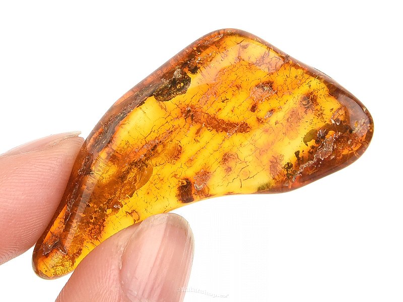 Amber from Lithuania 5.6 g