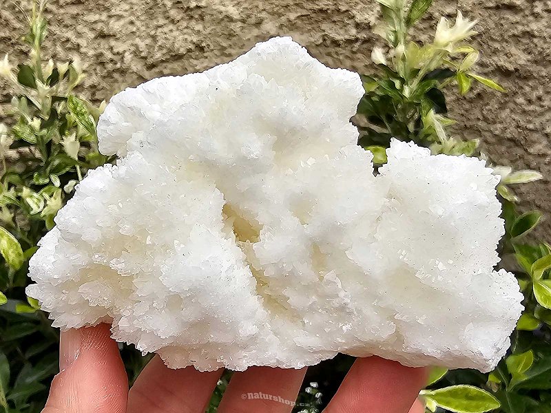 Aragonite white crystal druse from Mexico 279g