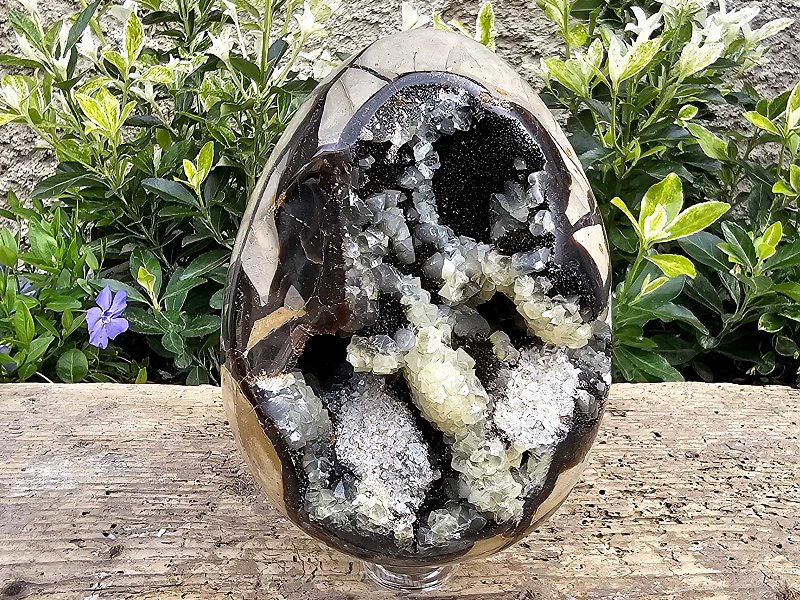 Dragon egg septaria with calcite from Madagascar 1700g