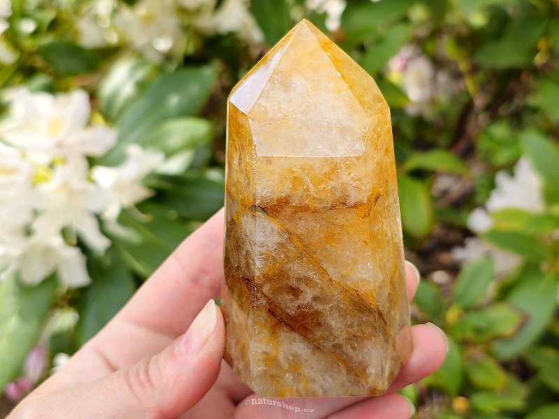 Pointed crystal with limonite (Madagascar) 317g