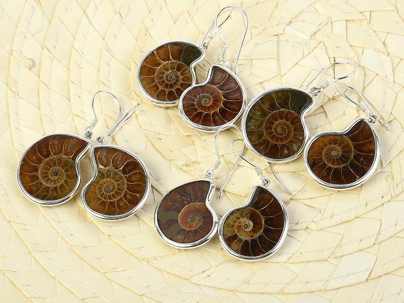 Ammonite earrings in silver Ag 925/1000