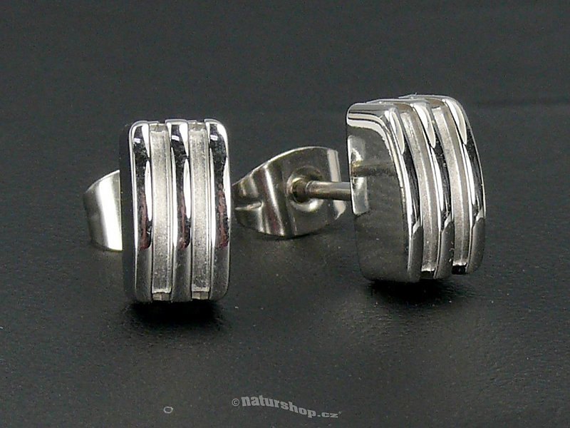 Earrings Surgical Steel typ035
