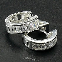 Ag 925/1000 silver earrings typ067
