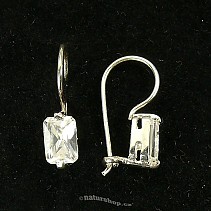 Ag 925/1000 silver earrings typ071