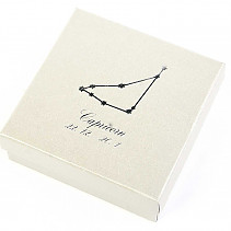 Capricorn (Capricorn) paper gift box sign