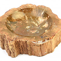 Petrified wood bowl (1020g)