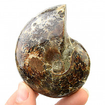 Ammonite with opal shine 164g