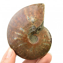 Ammonite with opal shine 172g
