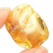 Collectible amber (2.8g)