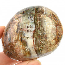 Petrified wood from Madagascar 174g