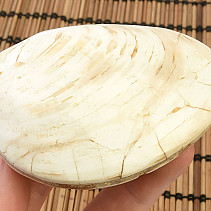 Fossil shells for collectors 183g