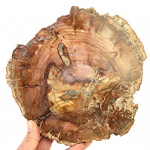 Zkamenělé dřevo plátek (1178g)