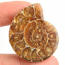 Ammonite for collectors half 16.5g