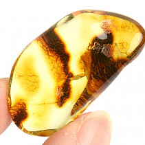 Polished amber Lithuania 4.9g