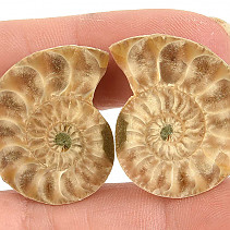 Ammonite selection pair 11g from Madagascar