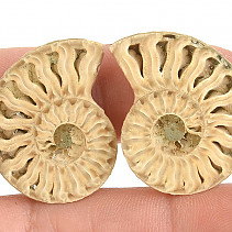 Collectable ammonite pair from Madagascar 6g