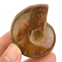 Amonit vcelku s opálovým leskem z Madagaskaru 64g