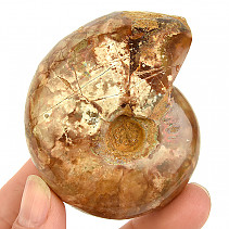 Whole ammonite with opal luster from Madagascar 125g
