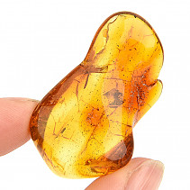 Amber from Lithuania 5.3g