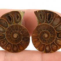 Collectable ammonite pair from Madagascar 9g