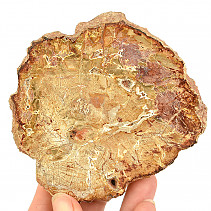 Petrified wood slice from Madagascar 210g