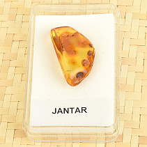 Amber in a box 1.9g from Lithuania