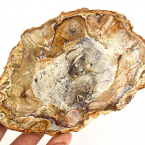 Slice of petrified wood 378g (Madagascar)