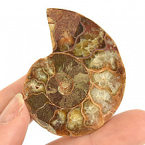 Ammonite half from Madagascar 22g
