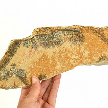 Limestone with dendrites (Solnhofen) 881g