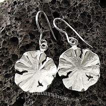 Collection Botanic silver earrings 925/1000 Morning Glory
