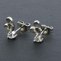 Earrings Stainless Steel with Zircon REB029