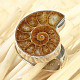 Ammonite ring size 55 Ag 925/1000 8.6g