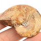 Ammonite fossil whole (26g)