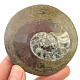 Ammonite in rock fossil (Erfoud, Morocco) 80g