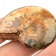Fosilní amonit vcelku s opálovým leskem (21g)