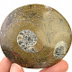 Fossil ammonite in rock (Erfoud, Morocco) 79 g