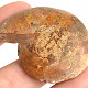 Ammonite one half 18.8g
