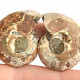 Collectable ammonite 16.3g pair