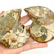 Ammonite pair Madagascar 579g