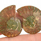 Ammonite selected pair (Madagascar) 8g