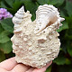 Decorative shell conglomerate 308g