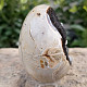 Dragon egg septaria with calcite from Madagascar 273g