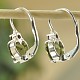 Earrings Moldavite heart and garnet Ag 925/1000 Rh + 7x7mm