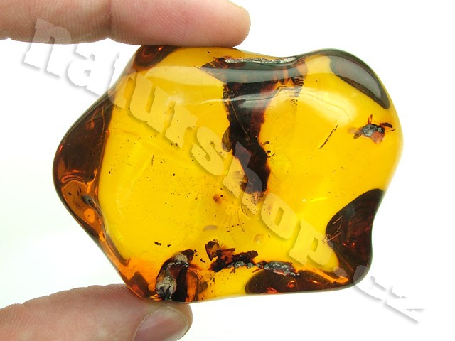 amber Colombia