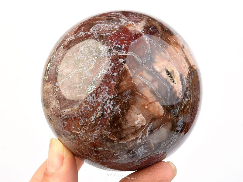 Petrified wood ball Ø 78mm